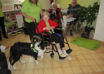 Canisterapie v domově