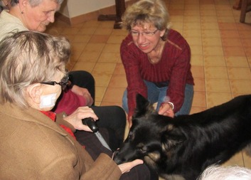 Canisterapie v domově pokojného stáří