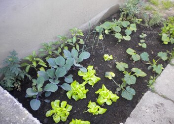  Zahrádka v Domečku