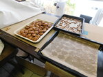 DSCN0220