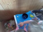 IMG_20200601_102139